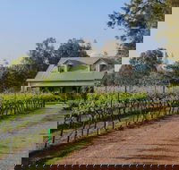 Emmas Cottage Vineyard - Grafton Accommodation