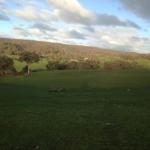 Mancuso Country Cottage Retreat - Grafton Accommodation 0