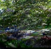 Glenellen Bed and Breakfast - Grafton Accommodation