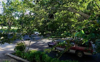 Glenellen Bed And Breakfast - Grafton Accommodation 0