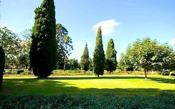 Glenellen Bed And Breakfast - Grafton Accommodation 2