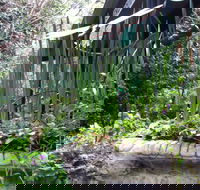 Lemonade Creek Cottages - Grafton Accommodation