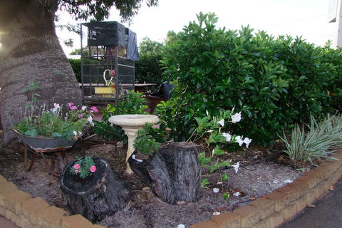 Acacia Motel - Grafton Accommodation 2