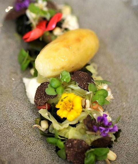 Altair Restaurant - Grafton Accommodation 4