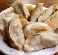 Dumplings Plus - Grafton Accommodation