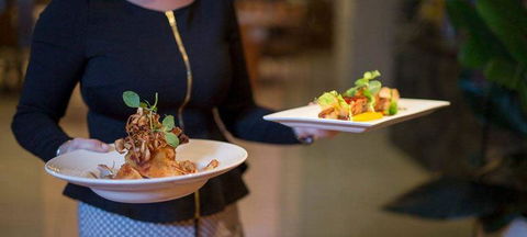 Cafe Amphora - Grafton Accommodation 1