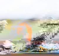 Henry's at The Coast - Grafton Accommodation