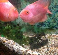 Eastern City Chinese Restaurant