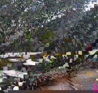 Leonies Little Tree Cafe