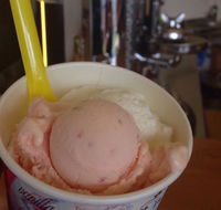 Bermagui Gelati Clinic - Grafton Accommodation