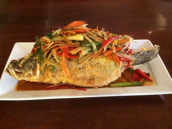 Denman NSW Grafton Accommodation