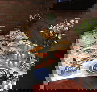 Colony Inn Hotel - Grafton Accommodation