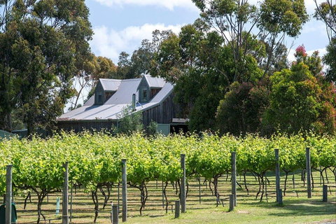 Wayawu Estate - Grafton Accommodation 0