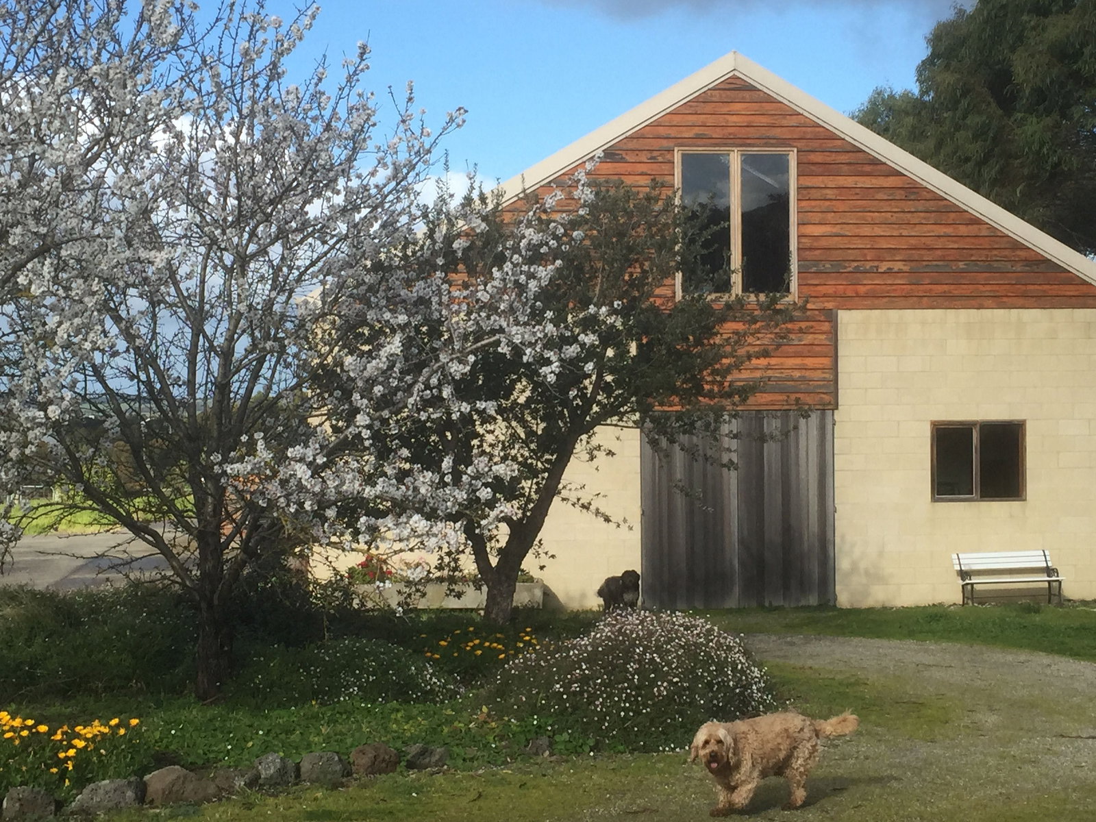 Drysdale VIC Grafton Accommodation