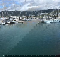 Whitsunday Sailing Club - Grafton Accommodation