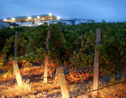 Haselgrove Wines - Grafton Accommodation 0