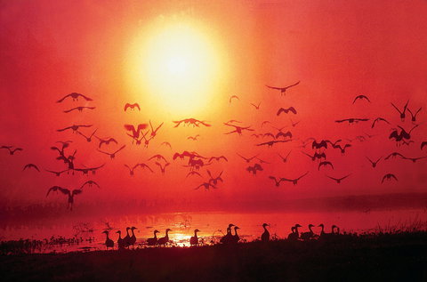 Airport Tavern - Darwin International Airport - Grafton Accommodation 0