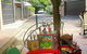 Albion Lane Cafe - thumb 0