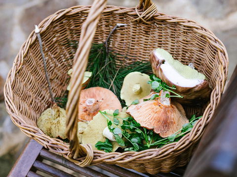 Villetta Porcini - Grafton Accommodation 2