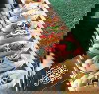 Balter Brewing Company