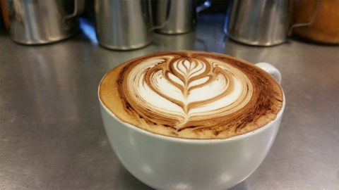 Ambience Cafe - Grafton Accommodation 0