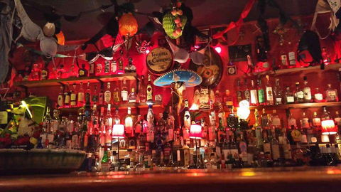 Tio's Cervecería - Grafton Accommodation 0