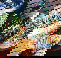 Luxe Fish - Grafton Accommodation