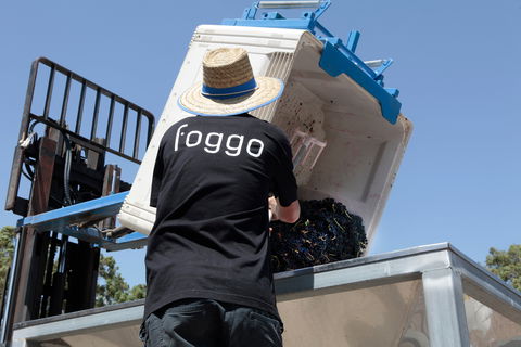 Foggo Wines - Grafton Accommodation 1