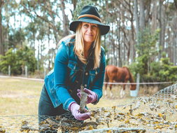 Mystery Bay Restaurants and Takeaway Grafton Accommodation Grafton Accommodation