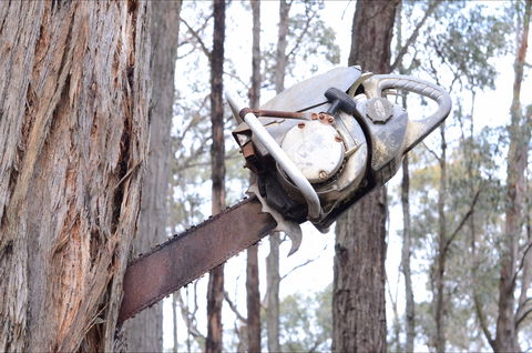 Mount Buninyong Winery - Grafton Accommodation 2