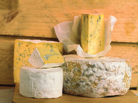 Cheese Shop At Makers' Workshop Burnie - The - Grafton Accommodation 1