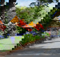 Oakdene Vineyards and Cellar Door - Grafton Accommodation