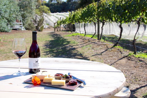 Every Man And His Dog Vineyard - Grafton Accommodation 1
