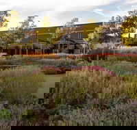Barossa Valley Estate Cellar Door  Gardens - Grafton Accommodation