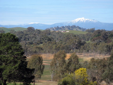 Chocolaterie RenMar - Grafton Accommodation 1