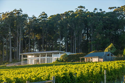 Moores Hill Estate - Grafton Accommodation 0
