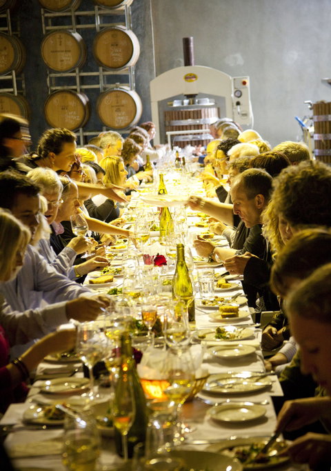 Dalwhinnie Wines - Grafton Accommodation 2