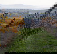 Barwon Ridge Wines - Grafton Accommodation