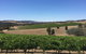 Peerick Vineyard And Winery - thumb 0