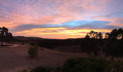 Peerick Vineyard And Winery - Grafton Accommodation 1