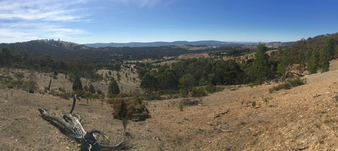 Peerick Vineyard And Winery - Grafton Accommodation 2