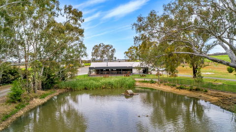 Jaeschkes Hill River Clare Estate - Grafton Accommodation 0