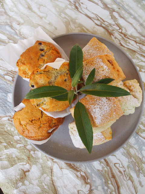Paperbark Cafe At Kuranga Native Nursery - Grafton Accommodation 1
