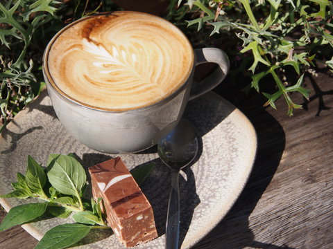 Paperbark Cafe At Kuranga Native Nursery - Grafton Accommodation 2