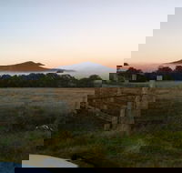Mountainside Wines - Grafton Accommodation