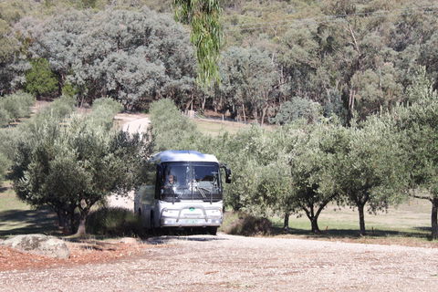L'Oliveraie Olive Grove - Grafton Accommodation 2