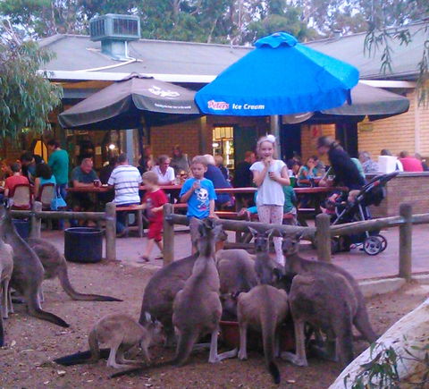 John Forrest Tavern - Grafton Accommodation 1