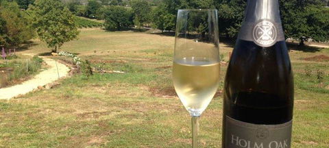 Currency Creek Winery Restaurant - Grafton Accommodation 0