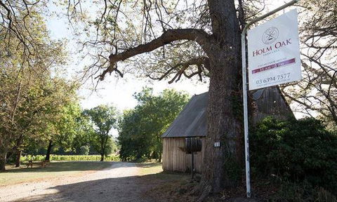 Currency Creek Winery Restaurant - Grafton Accommodation 9