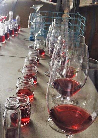 Currency Creek Winery Restaurant - Grafton Accommodation 13
